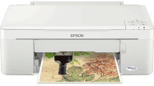 Máy in EPSON ME320